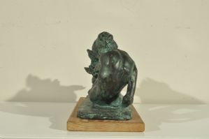 Foto 7